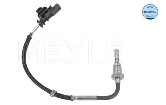 Capteur, température des gaz d'échappement