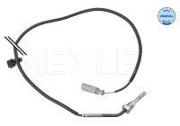 Capteur, température des gaz d'échappement