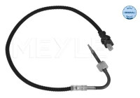 Capteur, température des gaz d'échappement