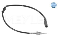 Capteur, température des gaz d'échappement
