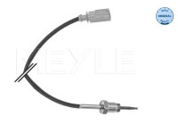 Capteur, température des gaz d'échappement