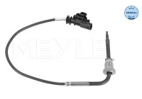 Capteur, température des gaz d'échappement