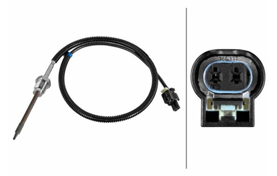 Capteur, température des gaz d'échappement