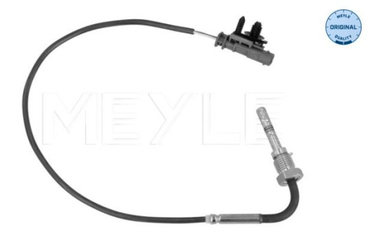 Capteur, température des gaz d'échappement