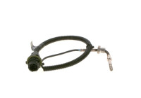 Capteur, température des gaz d'échappement