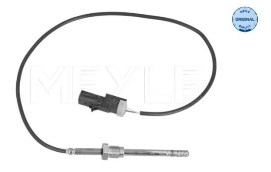 Capteur, température des gaz d'échappement