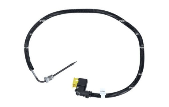 Capteur, température des gaz d'échappement