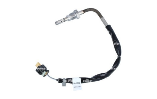 Capteur, température des gaz d'échappement