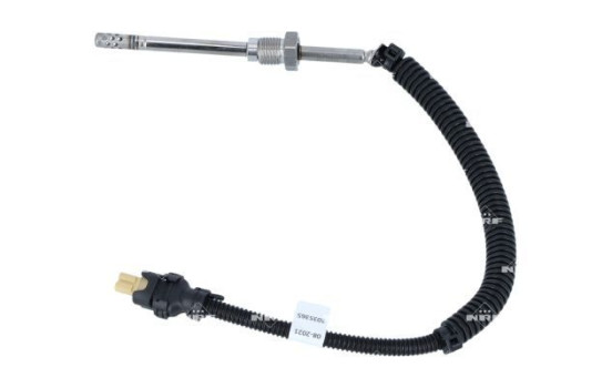 Capteur, température des gaz d'échappement