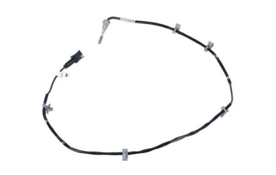 Capteur, température des gaz d'échappement