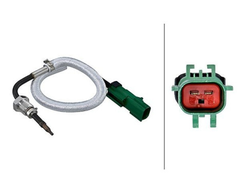 Capteur, température des gaz d'échappement