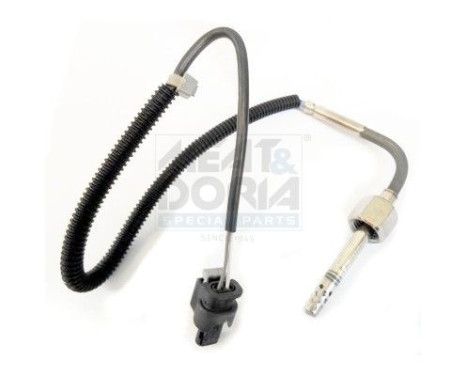 Capteur, température des gaz d'échappement