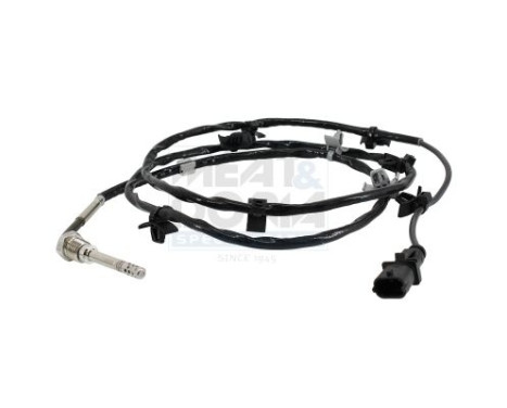 Capteur, température des gaz d'échappement