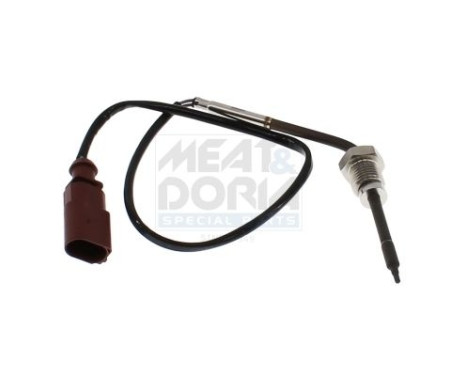 Capteur, température des gaz d'échappement