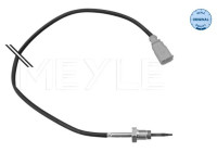 Capteur, température des gaz d'échappement