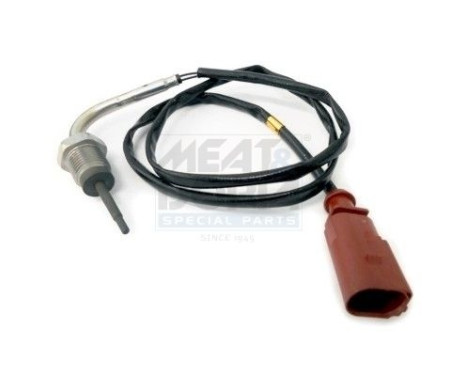 Capteur, température des gaz d'échappement