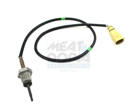 Capteur, température des gaz d'échappement