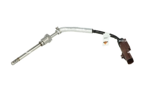 Capteur, température des gaz d'échappement
