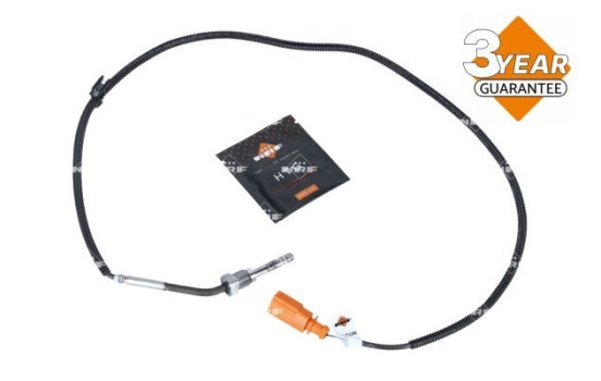 Capteur, température des gaz d'échappement
