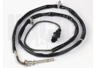 Capteur, température des gaz Hueco