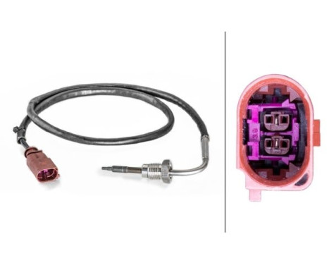 Capteur, température des gaz