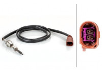 Capteur, température des gaz