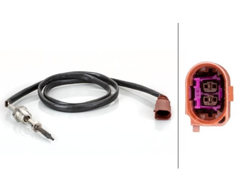 Capteur, température des gaz