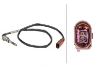 Capteur, température des gaz