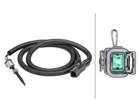 Capteur, température des gaz
