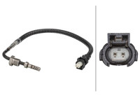 Capteur, température des gaz