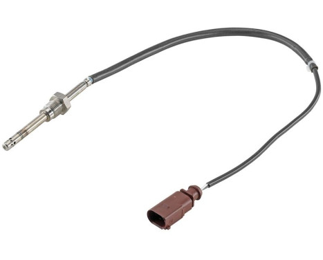 Capteur, température des gaz