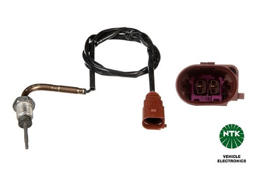 Capteur, température des gaz