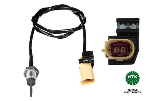 Capteur, température des gaz