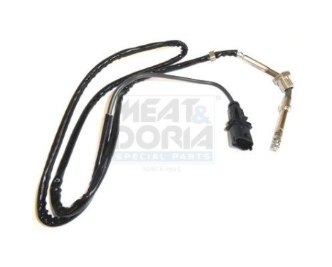 Capteur, température des gaz