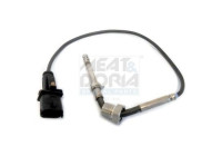 Capteur, température des gaz