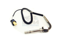 Capteur, température des gaz