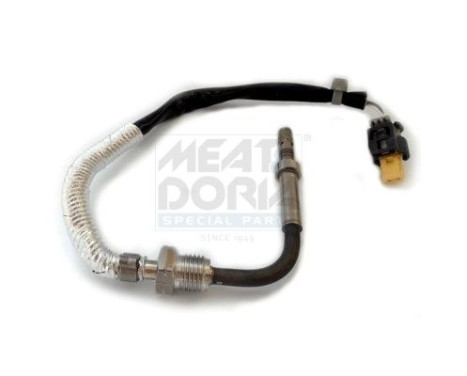 Capteur, température des gaz