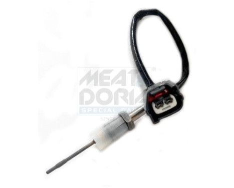 Capteur, température des gaz