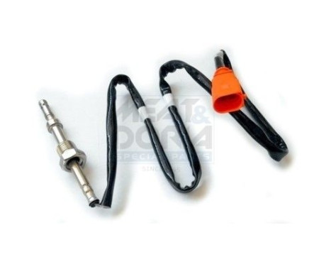 Capteur, température des gaz