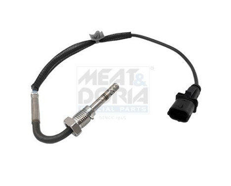 Capteur, température des gaz