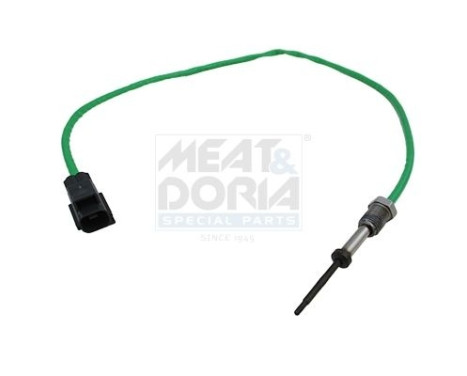 Capteur, température des gaz