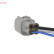Sonde lambda Direct Fit, Vignette 3