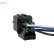 Sonde lambda Direct Fit, Vignette 6