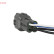 Sonde lambda Direct Fit, Vignette 5