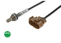 Sonde lambda