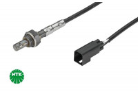Sonde lambda