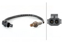 Sonde lambda