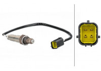 Sonde lambda