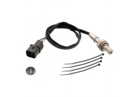 Sonde lambda