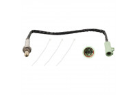 Sonde lambda